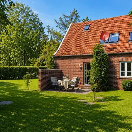 Zugvogel Eg Schillig