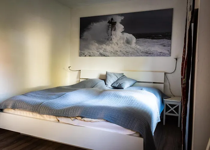 Zugvogel Eg Шиллиг